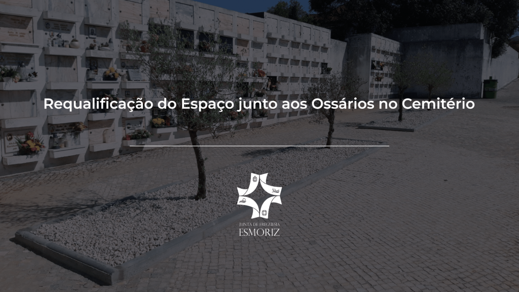 Capa Noticia Ossário-min